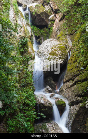 Bellissima vista della cascata in Qingcheng indietro montagna, vicino a Chengdu, nella provincia di Sichuan, in Cina. Foto Stock