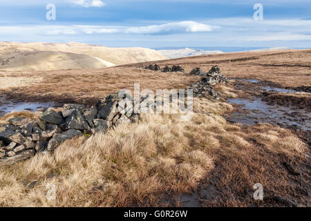 'Boggy mori. Un vecchio crollò in pietra a secco sulla parete coperta torbiera moorland in inverno, Colborne Moor, Derbyshire, Peak District, England, Regno Unito Foto Stock