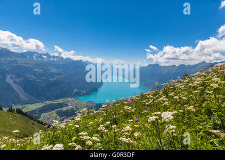 Vista aerea del Lago di Brienz e delle Alpi sul sentiero escursionistico verso il Brienzer Rothorn su Oberland Bernese vicino al famoso giro Foto Stock