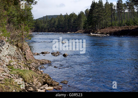 Il fiume Dee, tra Ballater e Braemar, Aberdeenshire, Scozia Foto Stock