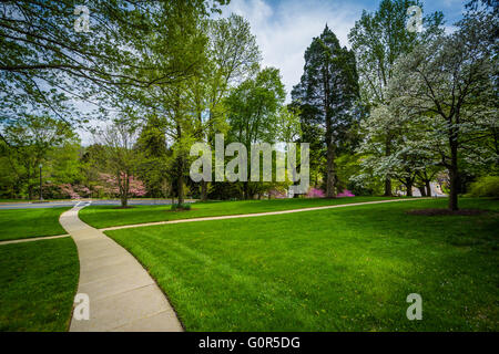 La passerella e colori di primavera presso Johns Hopkins a Mount Washington, Baltimora, Maryland. Foto Stock