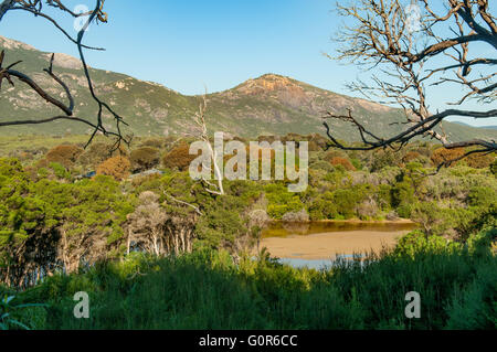 Fiume di marea, Wilsons Promontory NP, Victoria, Australia Foto Stock