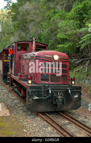 Spirito di Yallourn, Walhalla Goldfields Railway, Victoria, Australia Foto Stock