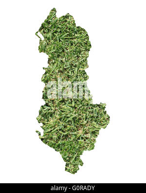 Mappa di Albania riempito con erba verde, ambientale e concetto ecologico. Foto Stock