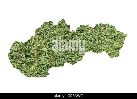 Mappa della Slovacchia riempito con erba verde, ambientale e concetto ecologico. Foto Stock