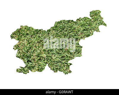 Mappa di Slovenia riempito con erba verde, ambientale e concetto ecologico. Foto Stock