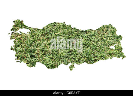 Mappa di Turchia riempito con erba verde, ambientale e concetto ecologico. Foto Stock