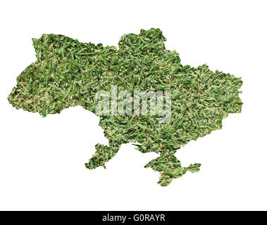 Mappa di Ucraina riempito con erba verde, ambientale e concetto ecologico. Foto Stock
