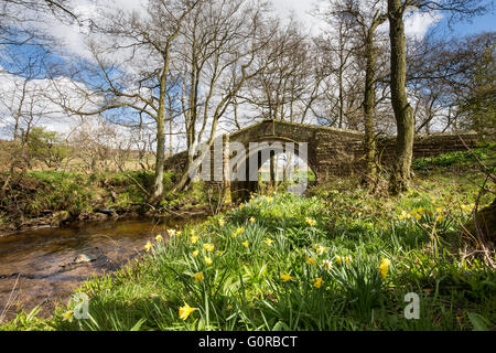 Il cacciatore Sty Bridge, antica Packhorse Bridge, a nord del villaggio di Westerdale oltre il fiume Esk, North York Moors National Park. E Foto Stock