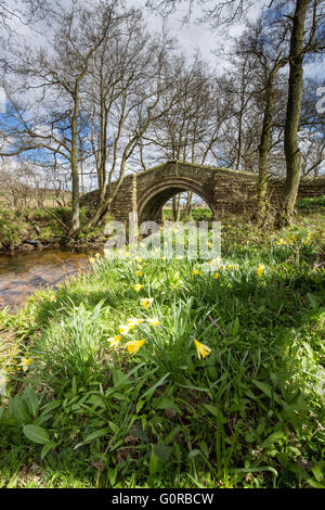 Il cacciatore Sty Bridge, antica Packhorse Bridge, a nord del villaggio di Westerdale oltre il fiume Esk, North York Moors National Park. Foto Stock