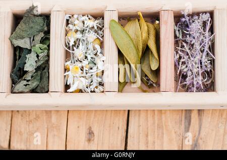 Assortimento di asciugare le erbe medicinali in una scatola di legno Foto Stock