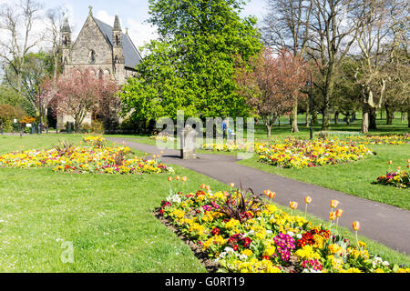 Fiore di primavera letti in San Giovanni a piedi, una parte delle passeggiate parco pubblico in King's Lynn, Norfolk. Foto Stock