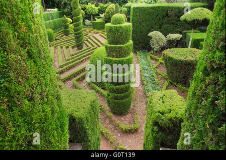 Topiaria da siepi, Giardino Botanico, Funchal, Madeira, Portogallo Foto Stock