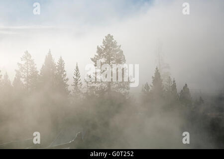 WY01616-00...WYOMING - nebbia e vapore a una fredda mattina presso la West Thumb Geyser Basin nel Parco Nazionale di Yellowstone. Foto Stock