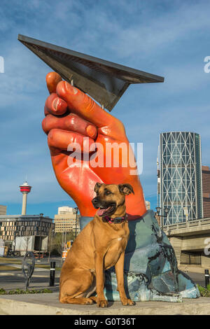 Pastore/Boxer cross cane, East Village, Calgary, Alberta, Canada Foto Stock