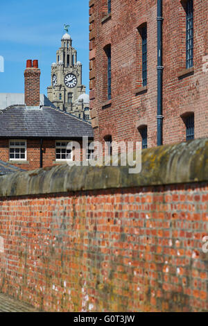 Liverpool Albert Dock edifici liver building l'Albert Dock è un complesso di edifici di dock e magazzini a Liverpool, Eng Foto Stock