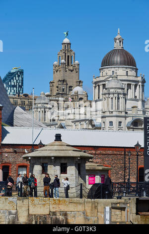 Liverpool Albert Dock edifici Liver Building Il Royal Liver Building è un grado che ho elencato la costruzione di Liverpool, in Inghilterra. Ho Foto Stock