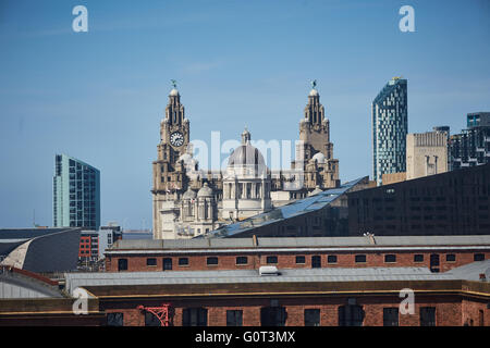 Liverpool Albert Dock edifici Liver Building Il Royal Liver Building è un grado che ho elencato la costruzione di Liverpool, in Inghilterra. Ho Foto Stock