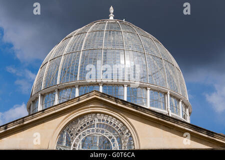 Syon House grande conservatorio 's cupola di vetro (grado che ho elencato la costruzione). Syon Park, Brentford. Middlesex. TW8 8JF. Regno Unito Foto Stock