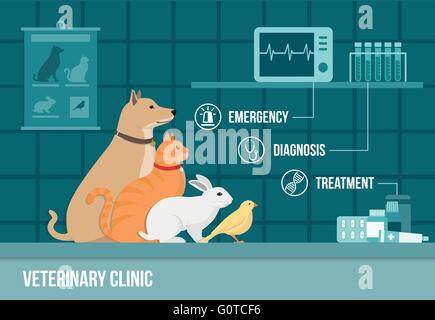 Ambulatorio veterinario banner con cane, gatto, coniglio, bird, attrezzature mediche e farmaci e set di icone Illustrazione Vettoriale