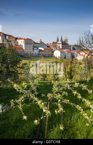 La molla vista del Castello di Praga dalla collina di Petrin, Praga, Repubblica Ceca Foto Stock