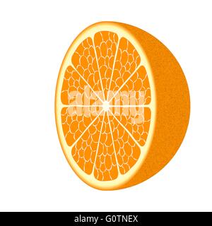 Arance mature frutta closeup. EPS vettoriali10 Illustrazione Vettoriale