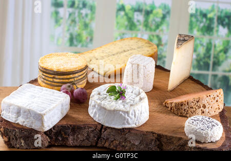 Formaggi assortiti in varie forme e dimensioni Foto Stock