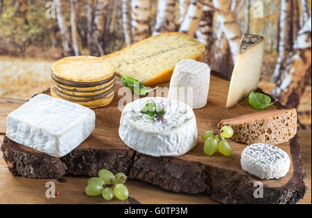 Formaggi assortiti in varie forme e dimensioni Foto Stock