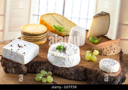 Formaggi assortiti in varie forme e dimensioni Foto Stock