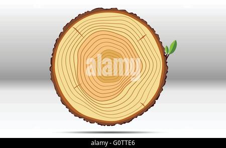 Struttura di anelli di crescita del legno Illustrazione Vettoriale