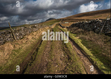 Long Lane Pen-y-Ghent Foto Stock