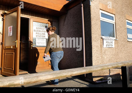 Walton, Powys. Il 5 maggio, 2016. Un inizio di mattina elettore arriva in corrispondenza della stazione di polling nella sala di villaggio in villaggio di Walton, Powys - gli elettori in Galles il voto per eleggere i membri per la Welsh Assembly e anche la polizia locale e la criminalità Commissari. Foto Stock