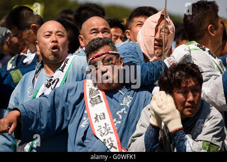 4 maggio 2016 - La gente lotta con aquiloni presso il Festival di Hamamatsu nella Prefettura di Shizuoka, Giappone. Squadre costruire i propri aquiloni, misurazione fino a 3.5 da 3,5 metri, e quindi tentare di portare verso il basso le altre squadre' aquiloni da battenti la loro chiusura insieme e utilizzando l'attrito per masterizzare la canapa kite stringhe. Il festival che celebra nuove nascite, avviene può 3-5 e coincide con la Giornata dei bambini. © Ben Weller/AFLO/Alamy Live News Foto Stock