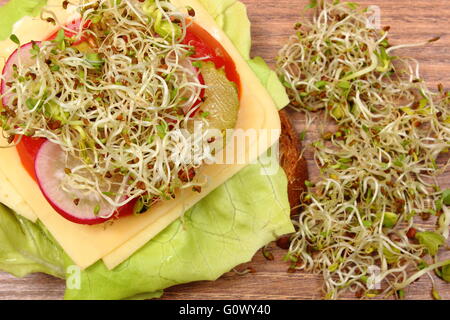 Preparato di fresco sandwich vegetariano con erba medica e i germogli di ravanello giacente sul tavolo di legno, il concetto di uno stile di vita sano la dieta Foto Stock