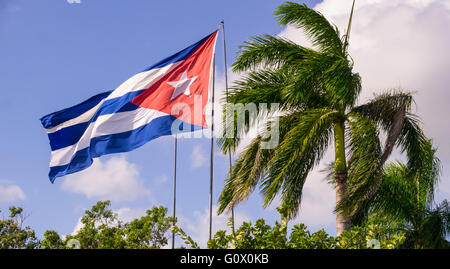 Un cubano bandiera sventolare nel vento accanto a un albero di palma Foto Stock