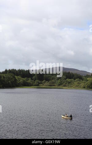 Lough Gill, nella contea di Sligo, Irlanda Foto Stock