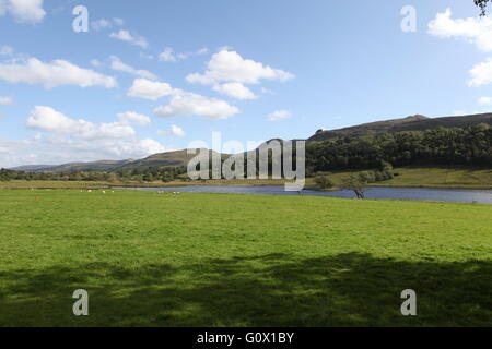 Valle Glencar, nella Contea di Leitrim, Connacht, Irlanda, Europa Foto Stock