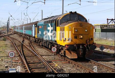 Classe 37 locomotiva diesel 37401 la Regina Maria di Scozia nel logo grande livrea arrivando a Carnforth con un treno passeggeri a Barrow Foto Stock