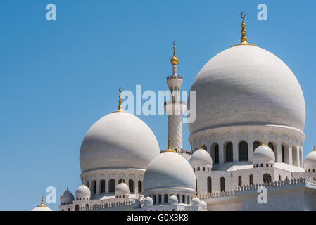 Cupole al Sheikh Zayed Grande Moschea di Abu Dhabi Foto Stock