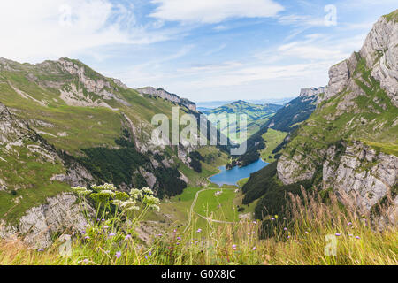 Panorama di Seealpsee (lago) e le Alpi con fiori come primo piano Foto Stock