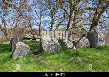 King's Dolmen, Kongedyssen, un long barrow fin dal periodo neolitico 3.400 A.C. in legno Tokkekoeb, Nord Zelanda, Danimarca, su una soleggiata giornata di primavera. Foto Stock