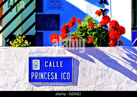 Lanzarote Arrecife Puerto del Carmen fiori rossi e pareti bianche segno blu Foto Stock