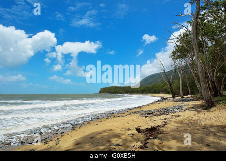 Spiaggia in estate, Captain Cook Highway, Queensland, Australia Foto Stock