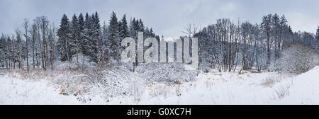 Coperte di neve paesaggio di alberi su un prato in una valle in inverno, Alto Palatinato, Baviera, Germania Foto Stock