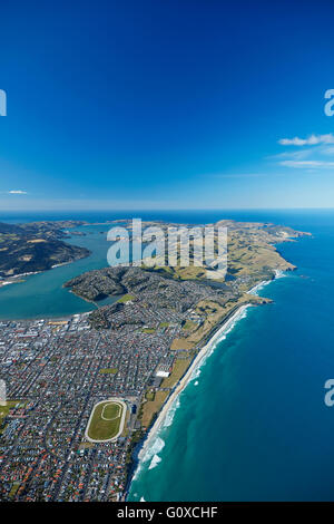 St Clair e St Kilda spiagge, porto di Otago e la penisola di Otago, Dunedin, Otago, South Island, in Nuova Zelanda - aerial Foto Stock