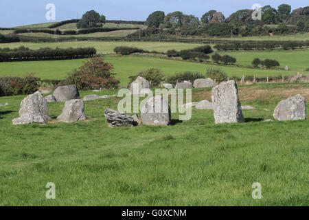 Ballynoe Stone Circle vicino a Downpatrick nella contea di Down. Foto Stock