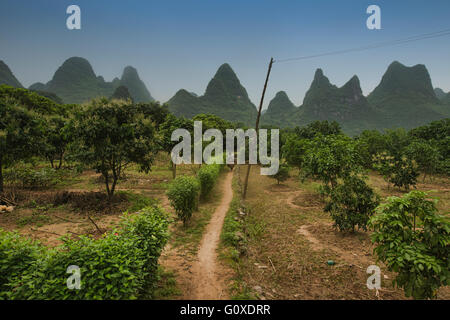 Gli agrumeti lungo il famoso fiume Li escursione vicino Xingping, Guangxi Regione autonoma, Cina Foto Stock