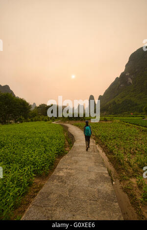 Aziende agricole lungo il famoso fiume Li escursione vicino Xingping, Guangxi Regione autonoma, Cina Foto Stock