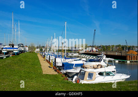 Barche ormeggiate nel porto turistico, Woodbridge, Suffolk, Inghilterra, Regno Unito Foto Stock
