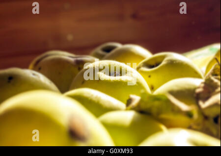 Bellezza antonovka verde le mele di raggi di sole Foto Stock